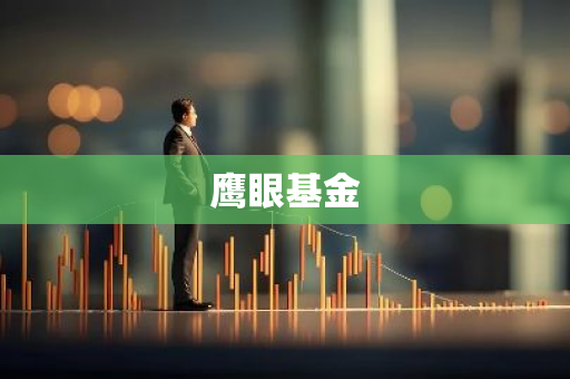 鹰眼基金