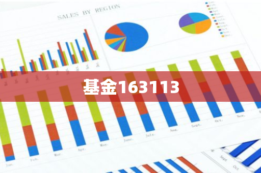 基金163113