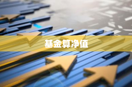 基金算净值