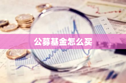 公募基金怎么买