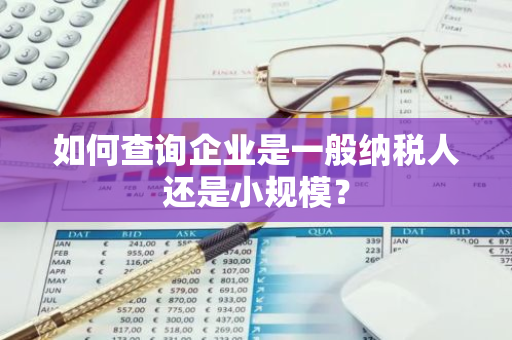 如何查询企业是一般纳税人还是小规模？