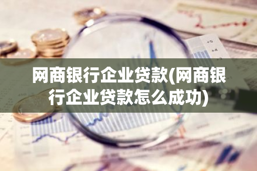 网商银行企业贷款(网商银行企业贷款怎么成功)