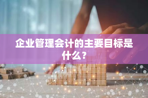 企业管理会计的主要目标是什么？
