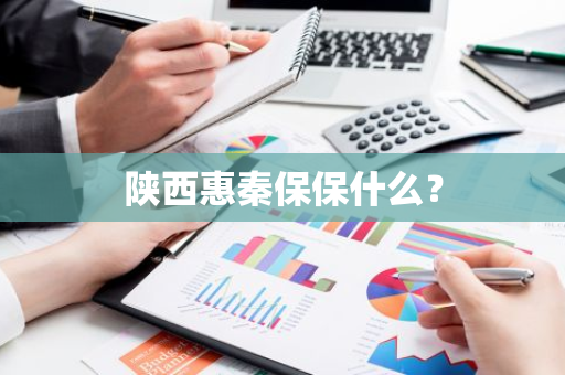 陕西惠秦保保什么？