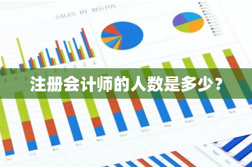 注册会计师的人数是多少？