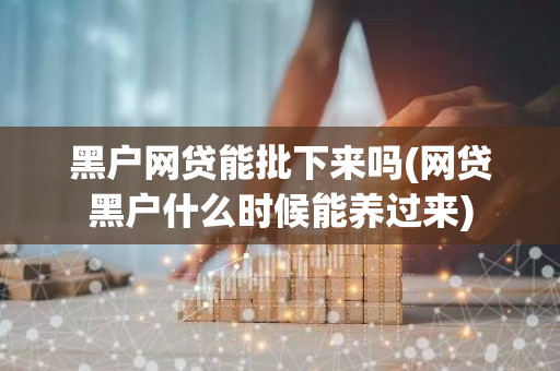 黑户网贷能批下来吗(网贷黑户什么时候能养过来)