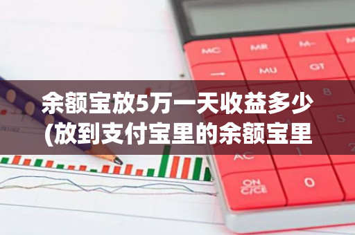 余额宝放5万一天收益多少(放到支付宝里的余额宝里面一个月多少收入安全吗)