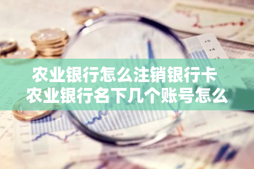 农业银行怎么注销银行卡 农业银行名下几个账号怎么销户