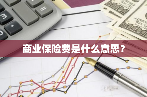 商业保险费是什么意思？