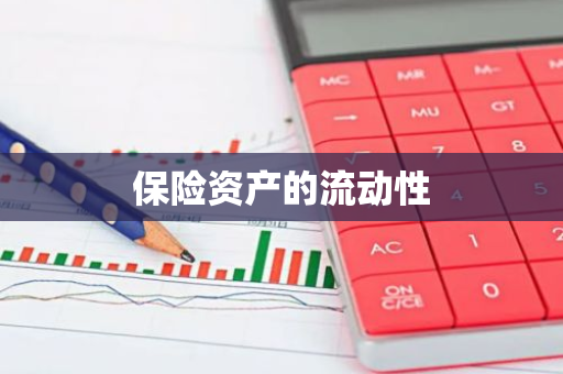 保险资产的流动性