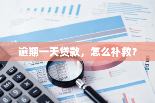 逾期一天贷款，怎么补救？