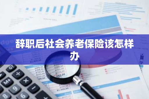 辞职后社会养老保险该怎样办