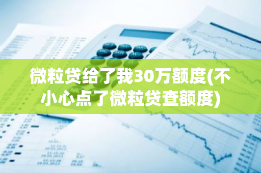 微粒贷给了我30万额度(不小心点了微粒贷查额度)