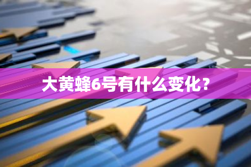 大黄蜂6号有什么变化？