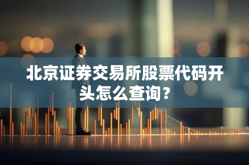 北京证券交易所股票代码开头怎么查询？