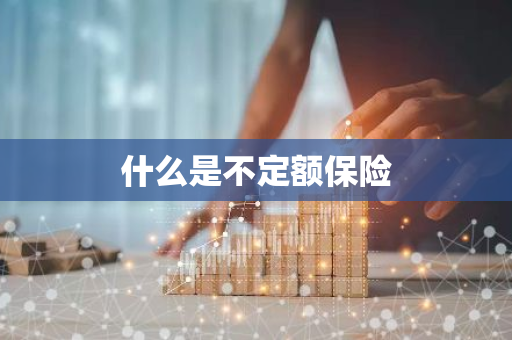 什么是不定额保险