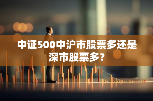 中证500中沪市股票多还是深市股票多？