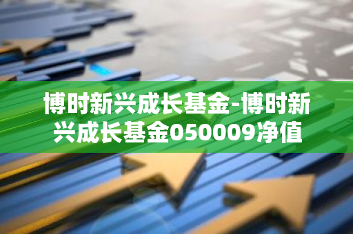 博时新兴成长基金-博时新兴成长基金050009净值