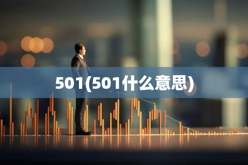 501(501什么意思)