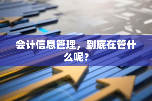 会计信息管理，到底在管什么呢？