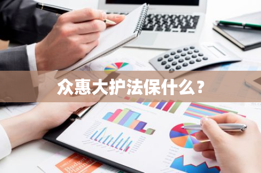众惠大护法保什么？