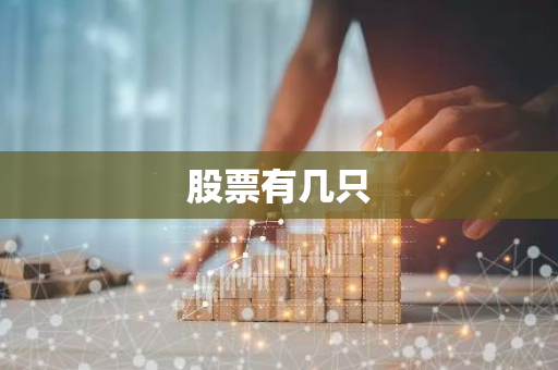 股票有几只