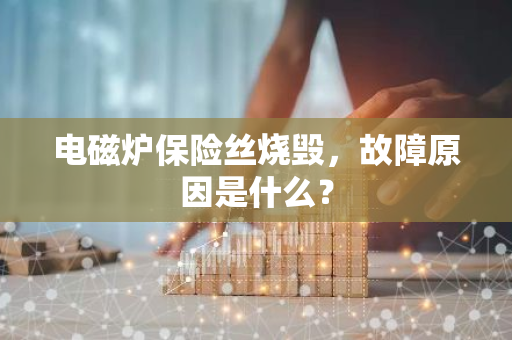 电磁炉保险丝烧毁，故障原因是什么？