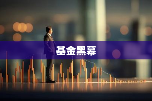 基金黑幕