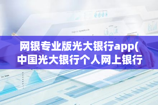网银专业版光大银行app(中国光大银行个人网上银行登录)