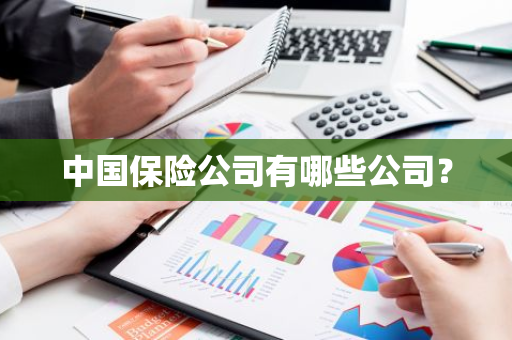 中国保险公司有哪些公司？