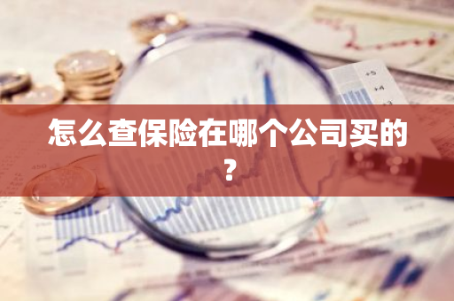 怎么查保险在哪个公司买的？