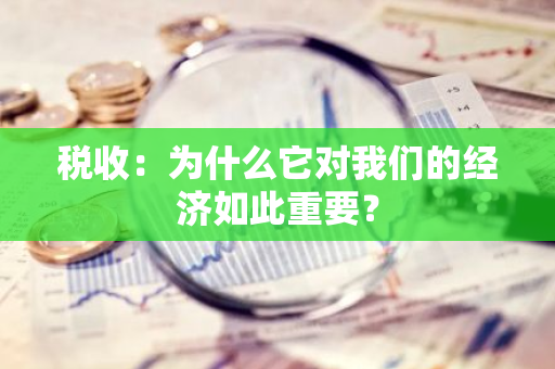 税收：为什么它对我们的经济如此重要？