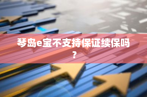琴岛e宝不支持保证续保吗？