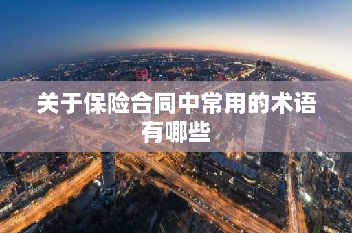 关于保险合同中常用的术语有哪些
