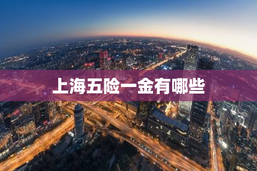 上海五险一金有哪些