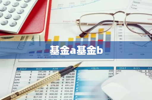 基金a基金b