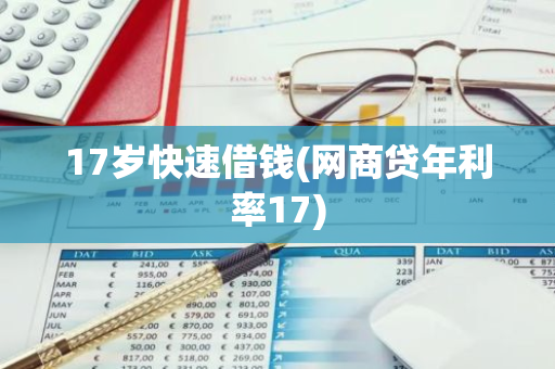 17岁快速借钱(网商贷年利率17)