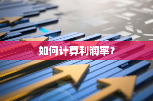 如何计算利润率？