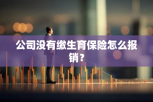 公司没有缴生育保险怎么报销？