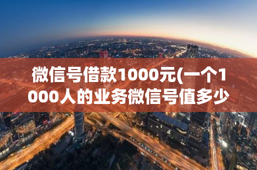 微信号借款1000元(一个1000人的业务微信号值多少钱)