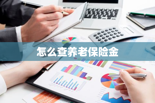 怎么查养老保险金