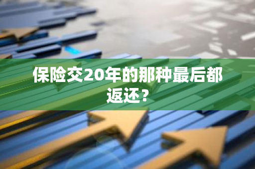 保险交20年的那种最后都返还？
