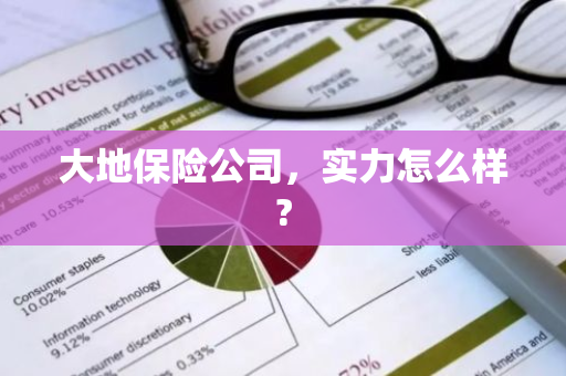 大地保险公司，实力怎么样?