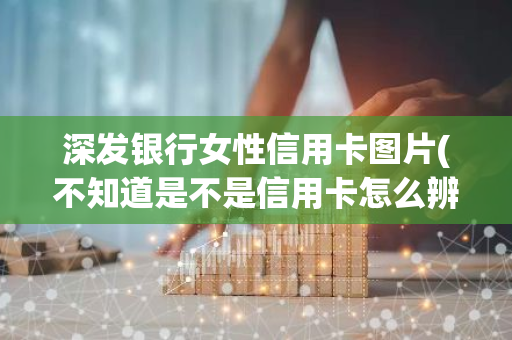 深发银行女性信用卡图片(不知道是不是信用卡怎么辨别)