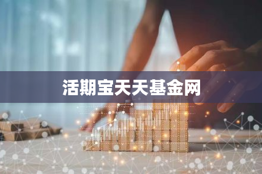 活期宝天天基金网