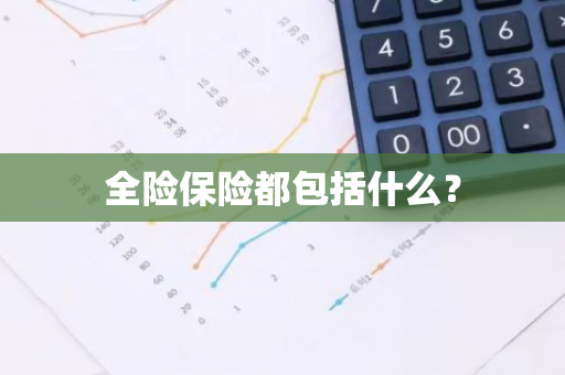 全险保险都包括什么？