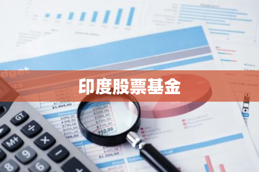 印度股票基金