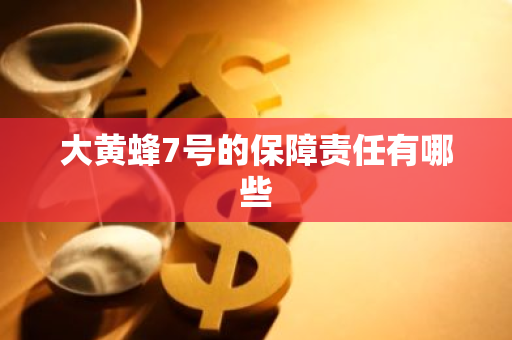 大黄蜂7号的保障责任有哪些