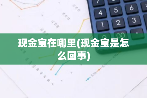现金宝在哪里(现金宝是怎么回事)