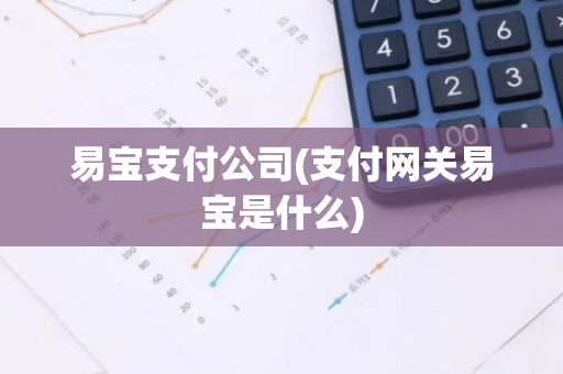 易宝支付公司(支付网关易宝是什么)